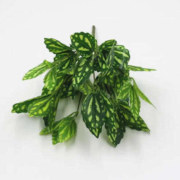 Planta Verde Tipo Ornato YBL112