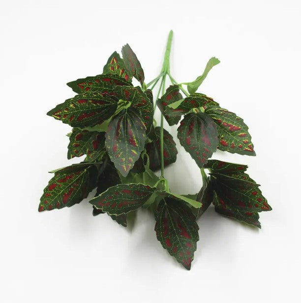 Planta Verde Tipo Ornato YBL112