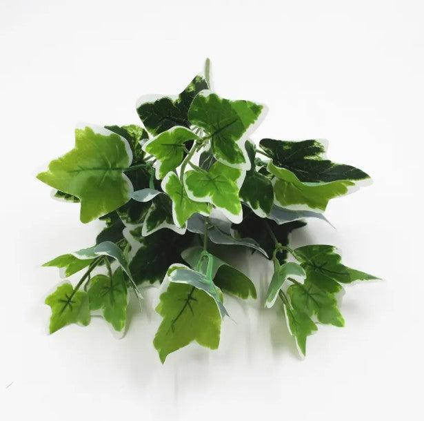 Planta Verde Tipo Ornato YBL112