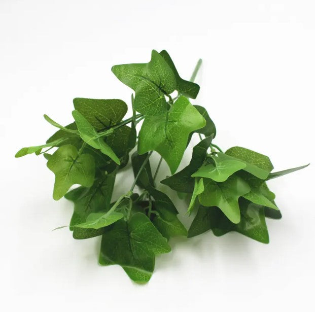 Planta Verde Tipo Ornato YBL112