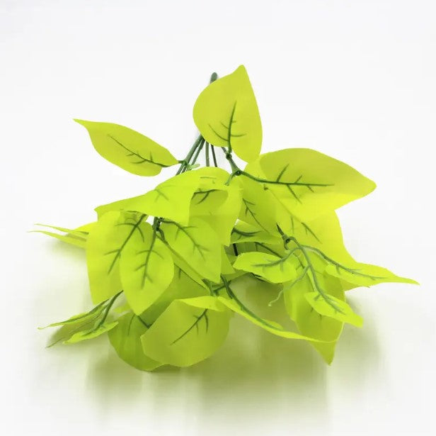 Planta Verde Tipo Ornato YBL112