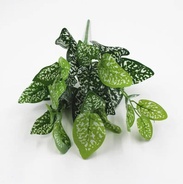 Planta Verde Tipo Ornato YBL112