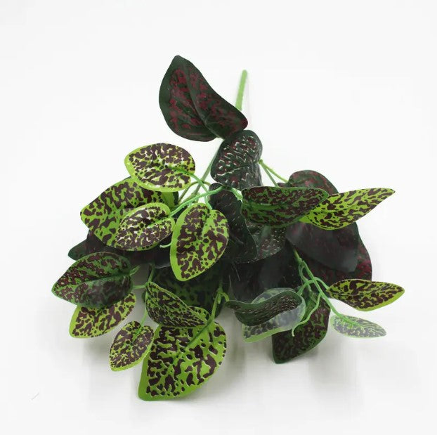 Planta Verde Tipo Ornato YBL112