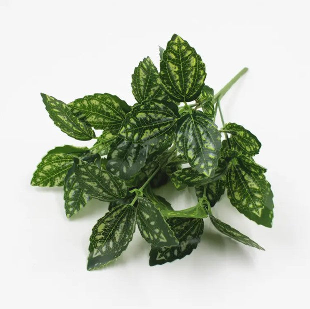 Planta Verde Tipo Ornato YBL112