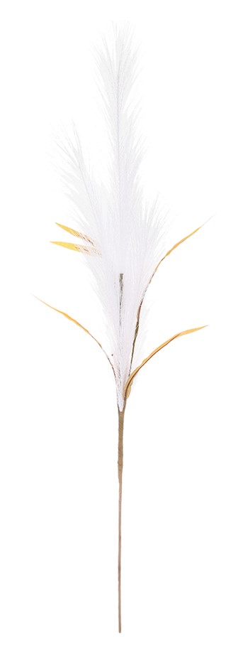 Vara Pampa Blanco
