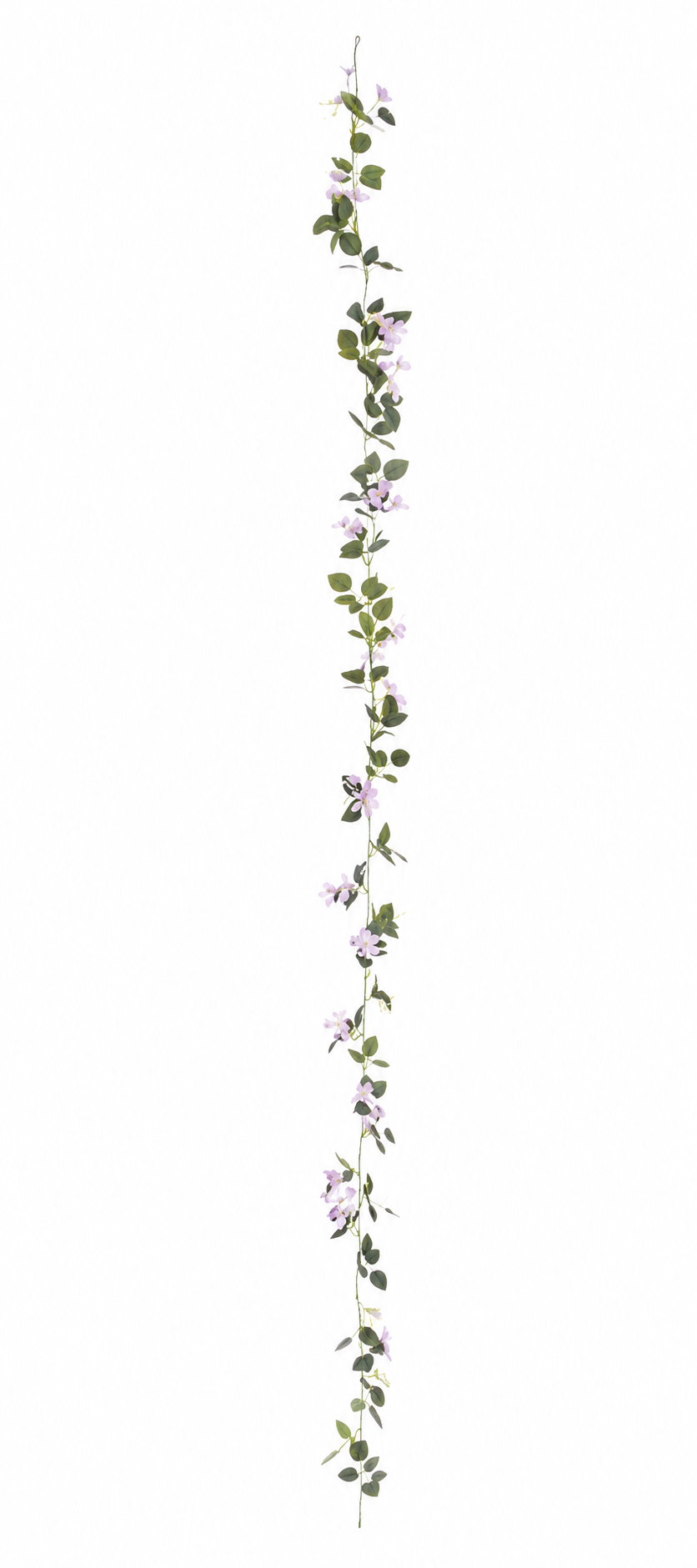 Guía Flor de Silene Cerezo Lila