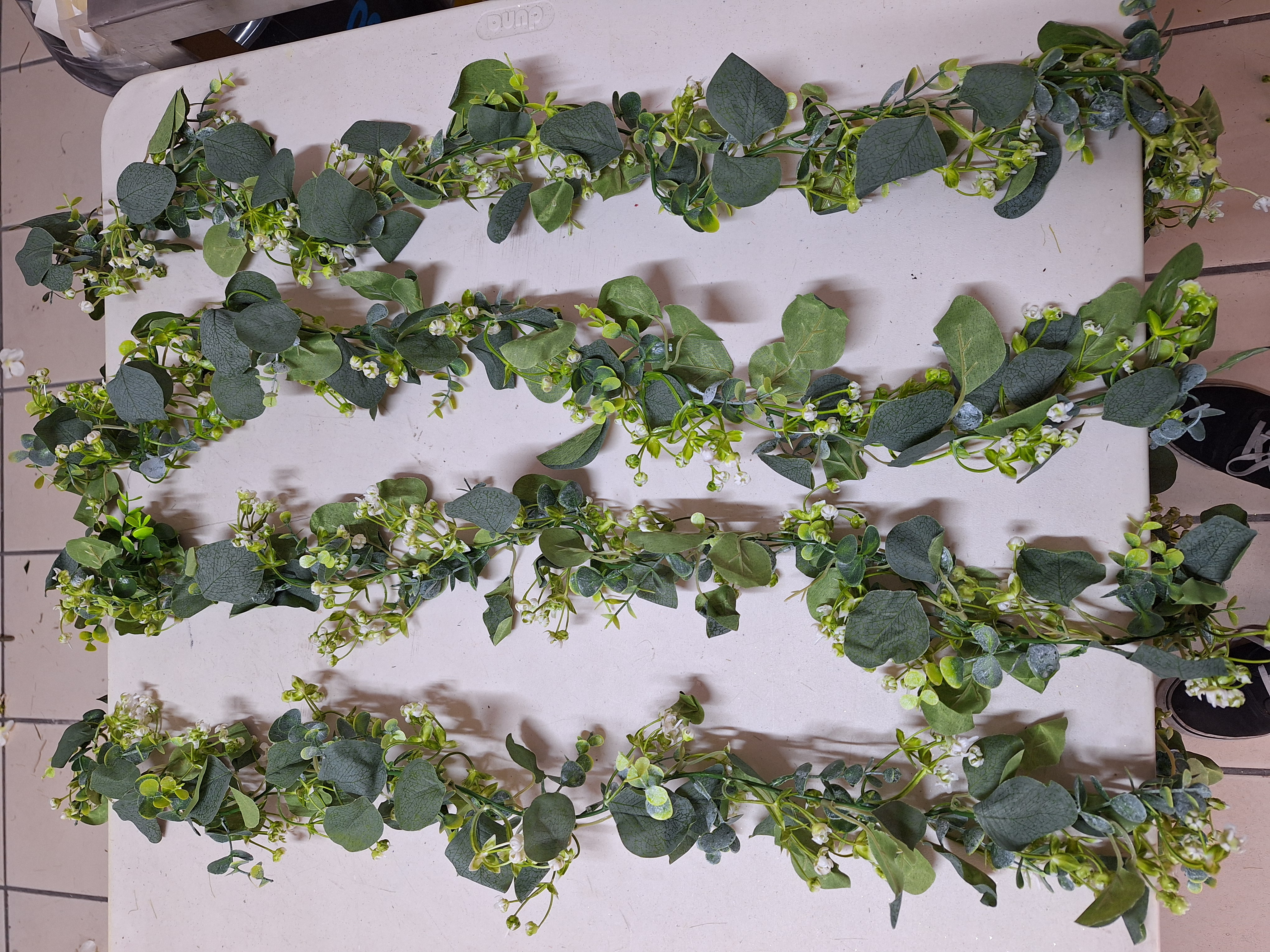 Guía Follaje Dolar Variante A