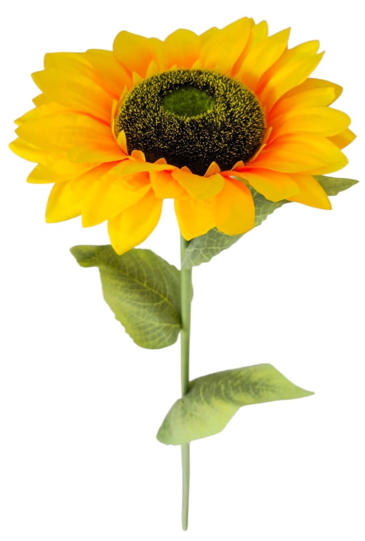 Vara Grande X1 Girasol Variante A