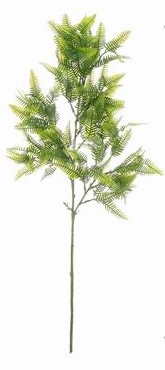 Ramo Follaje Verde