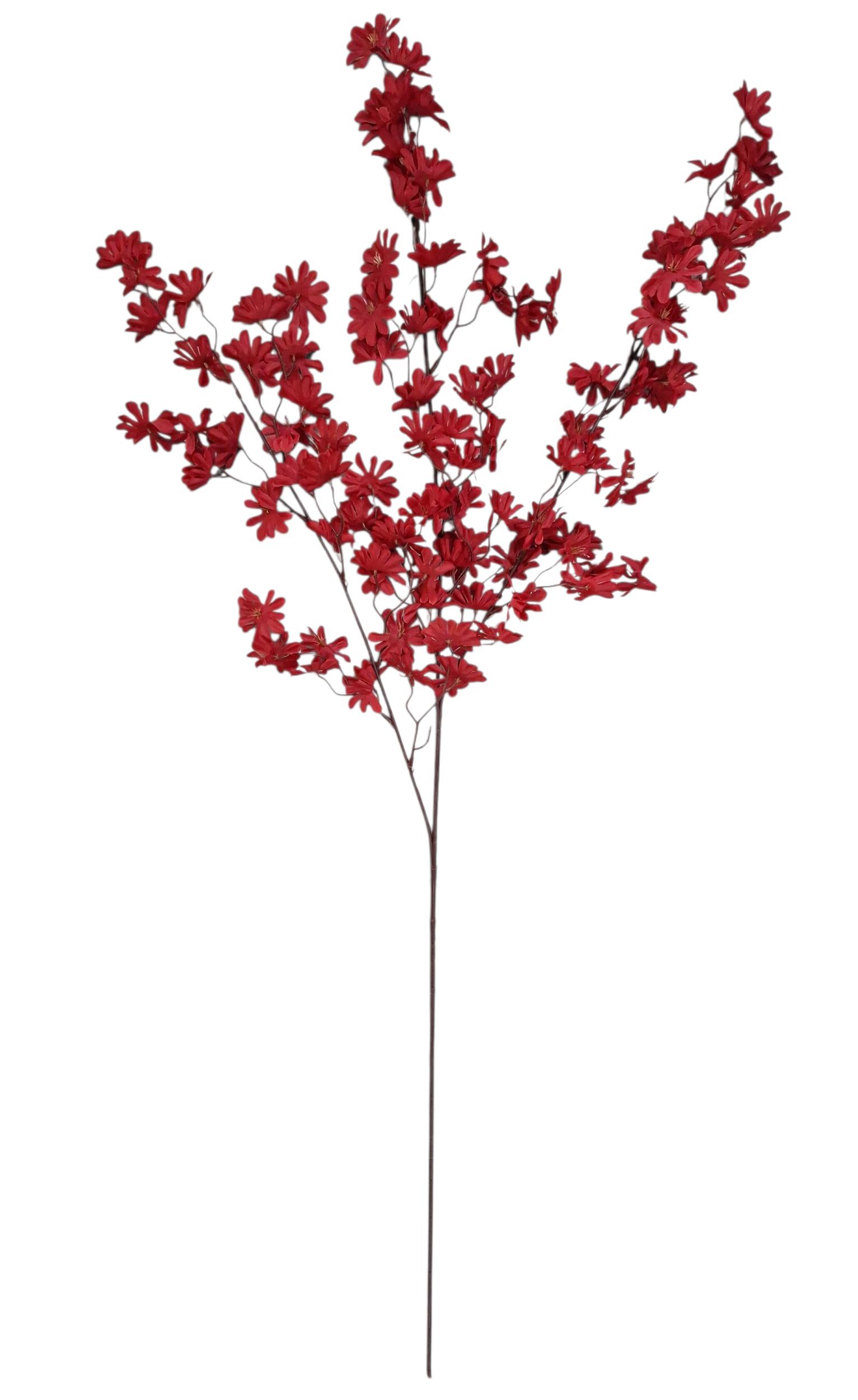 Vara Oncidio Rojo