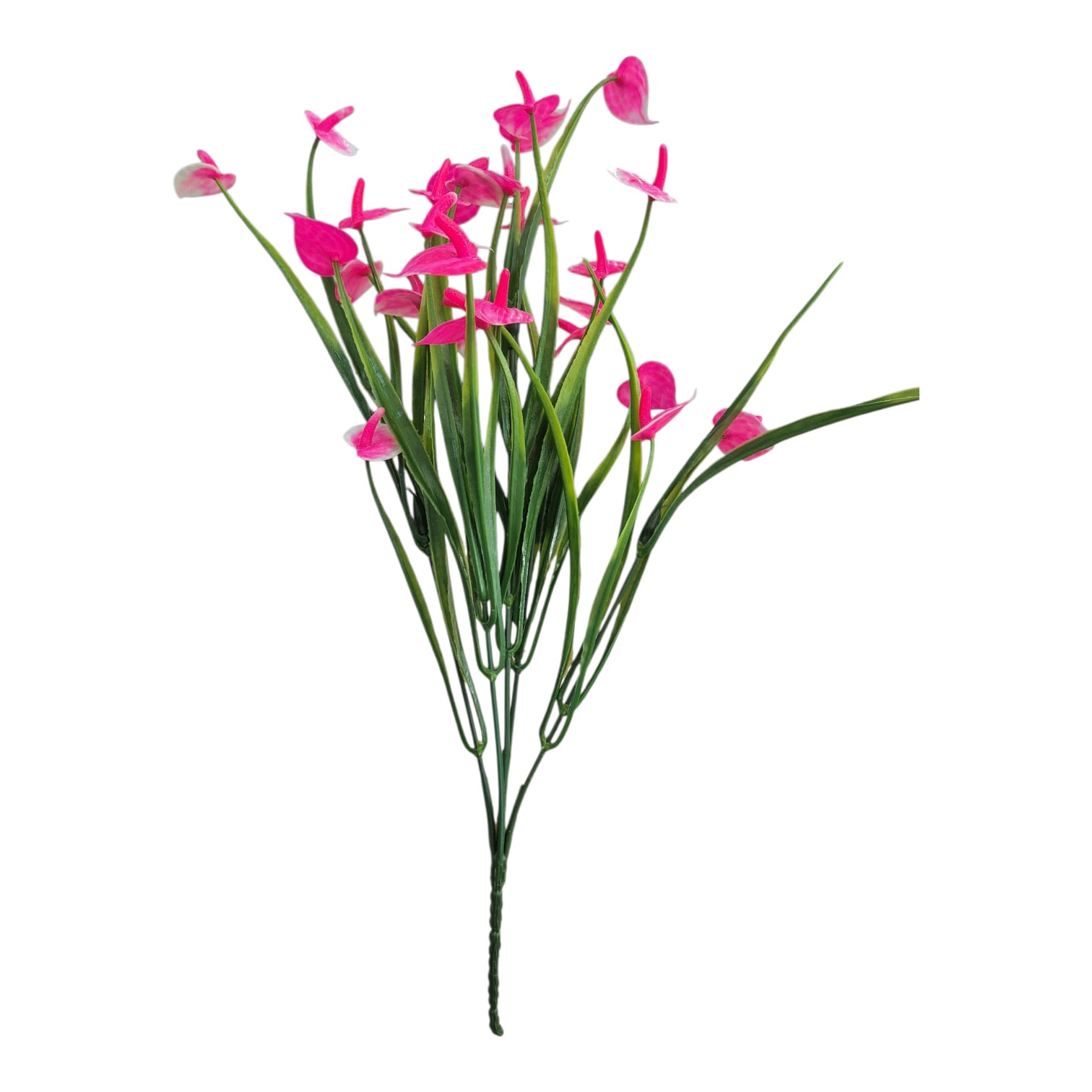 Ramo Mini Anturios Follaje Rosa