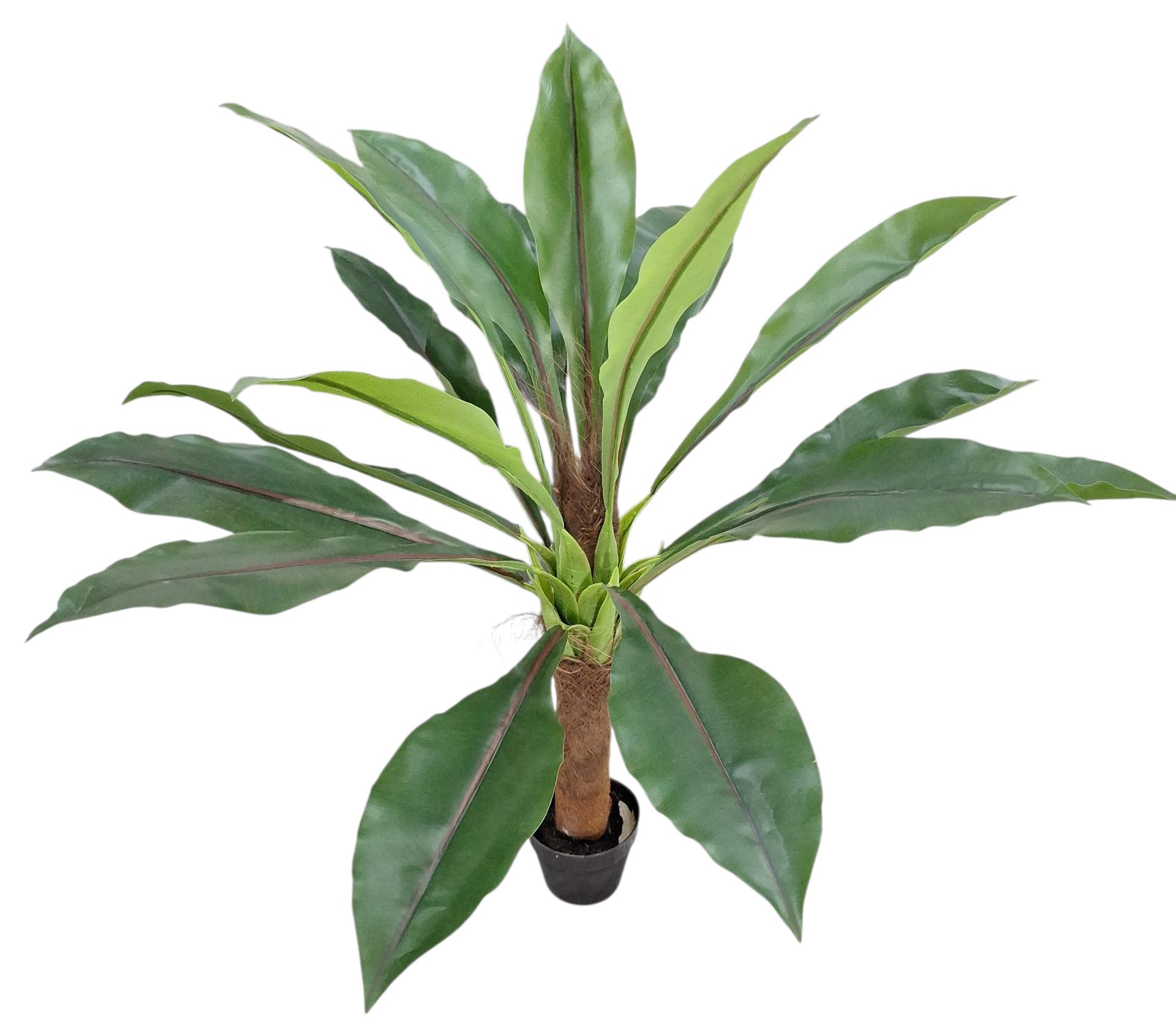 Árbol Planta Tropical 120cm