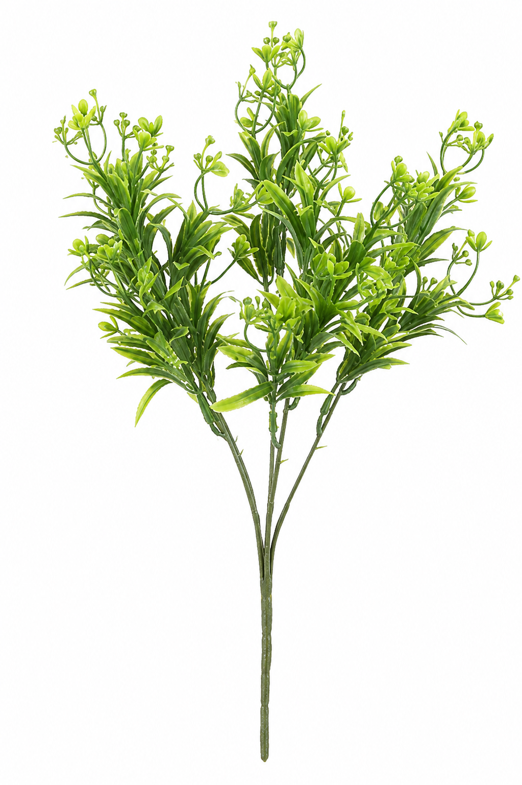 Ramo de Follaje Verde