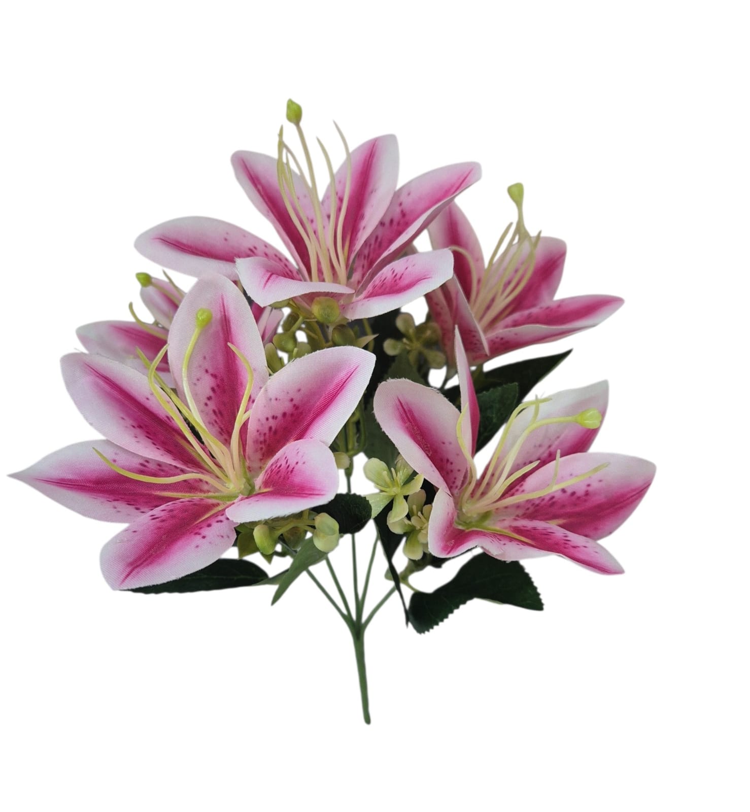 Ramo Magnolias