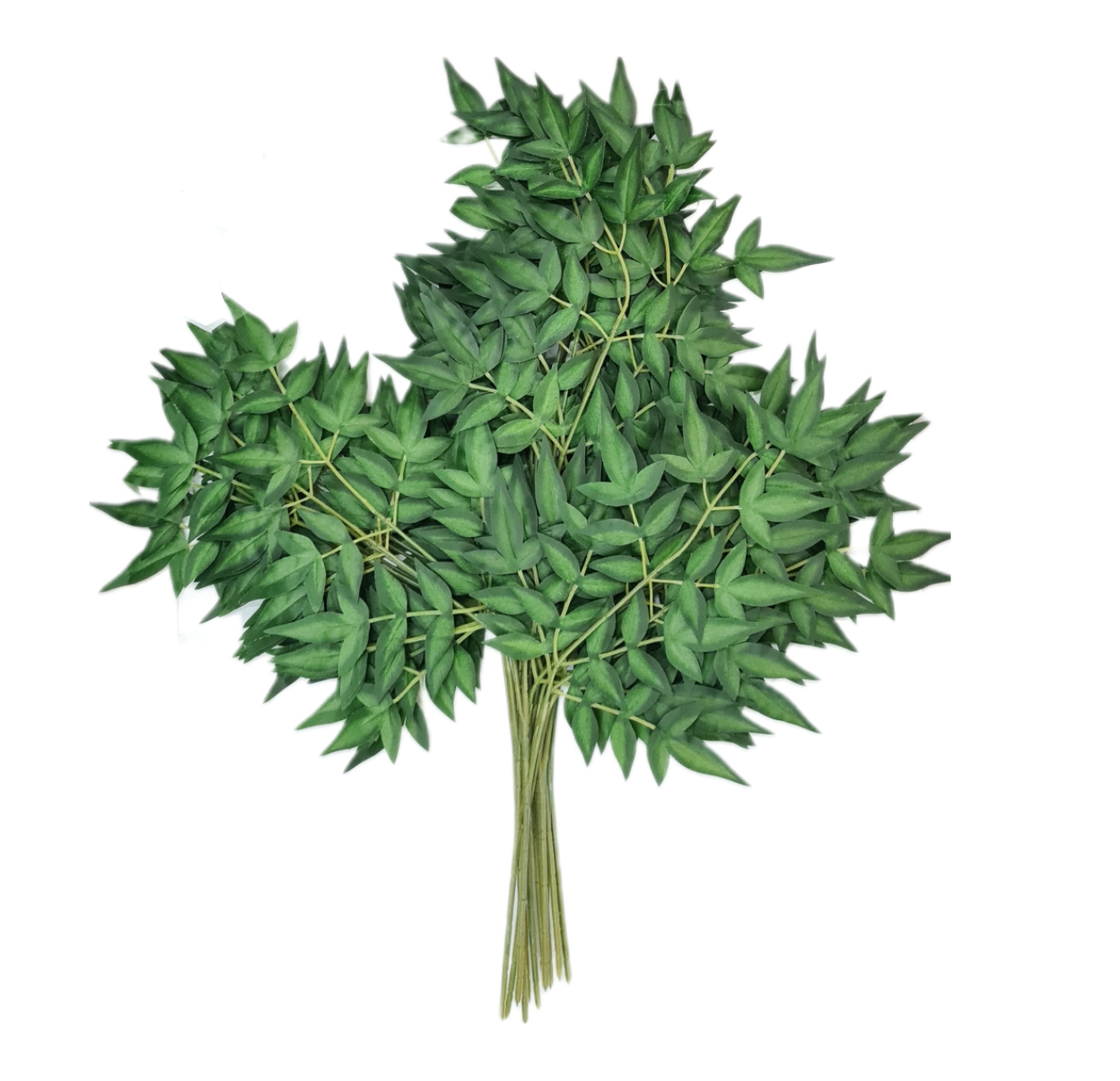 Ramas Follaje 60 cm Variante G