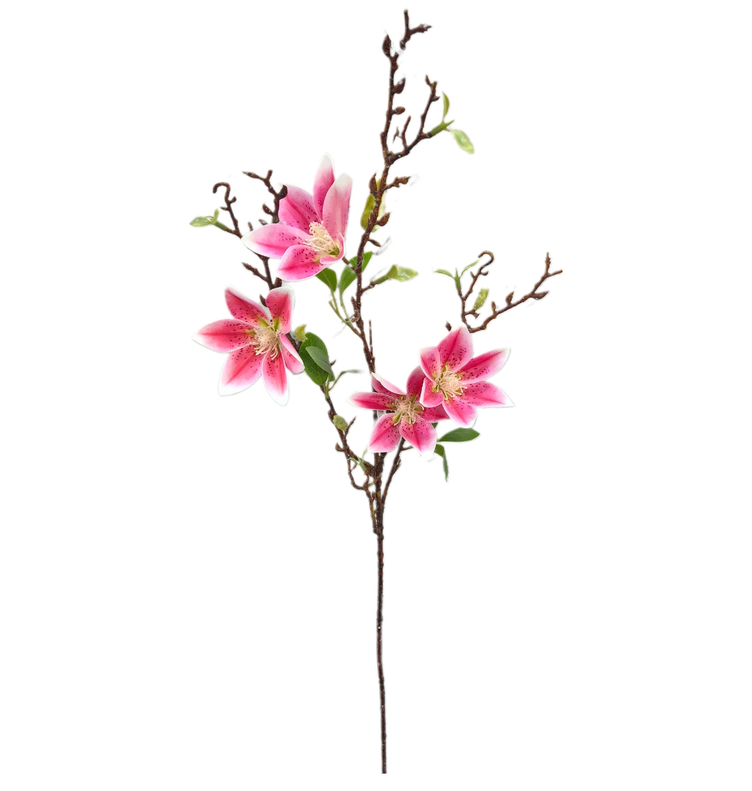 Vara de Magnolias Rosa Pinto