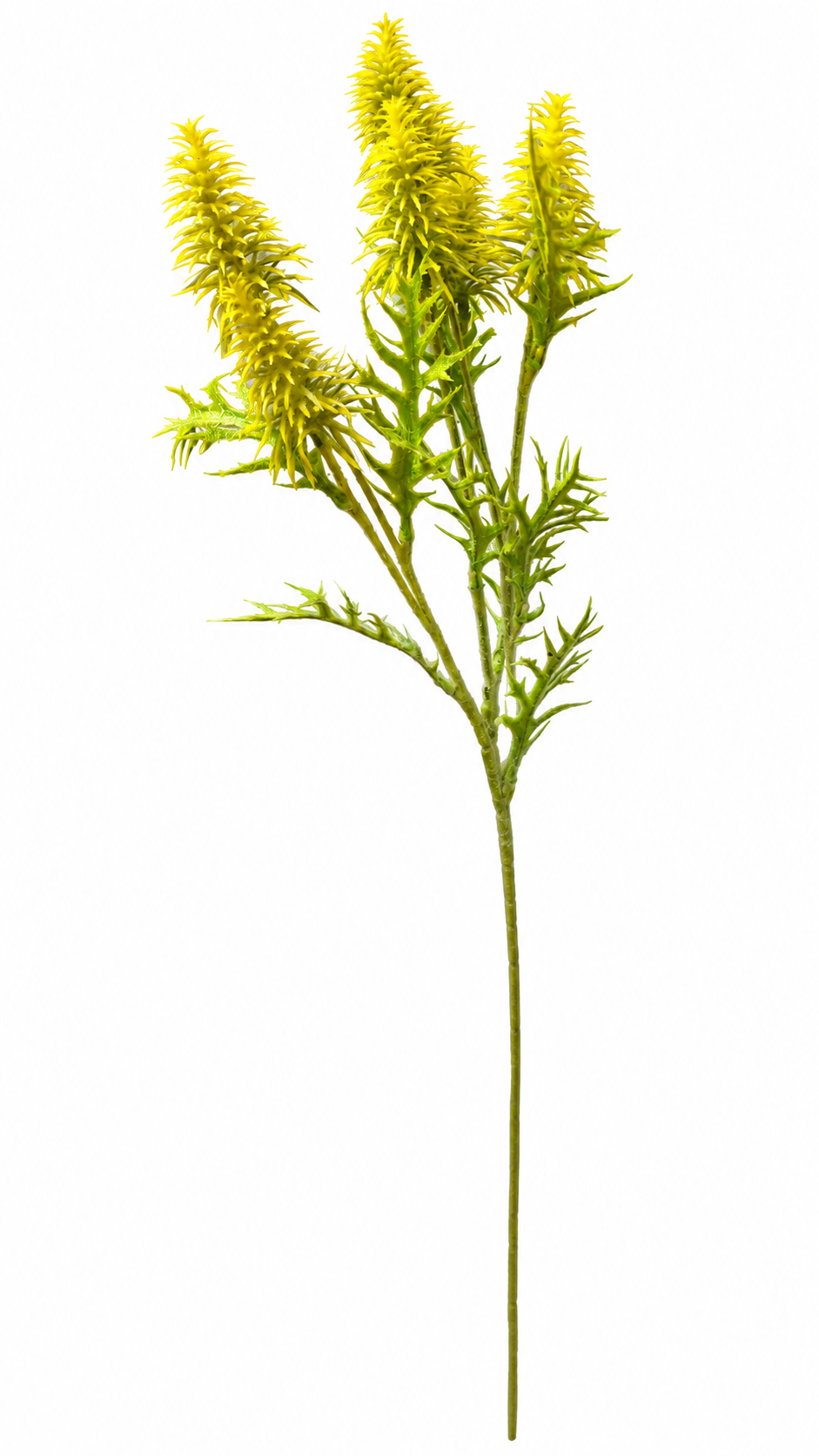 Vara Astilbe Amarillo