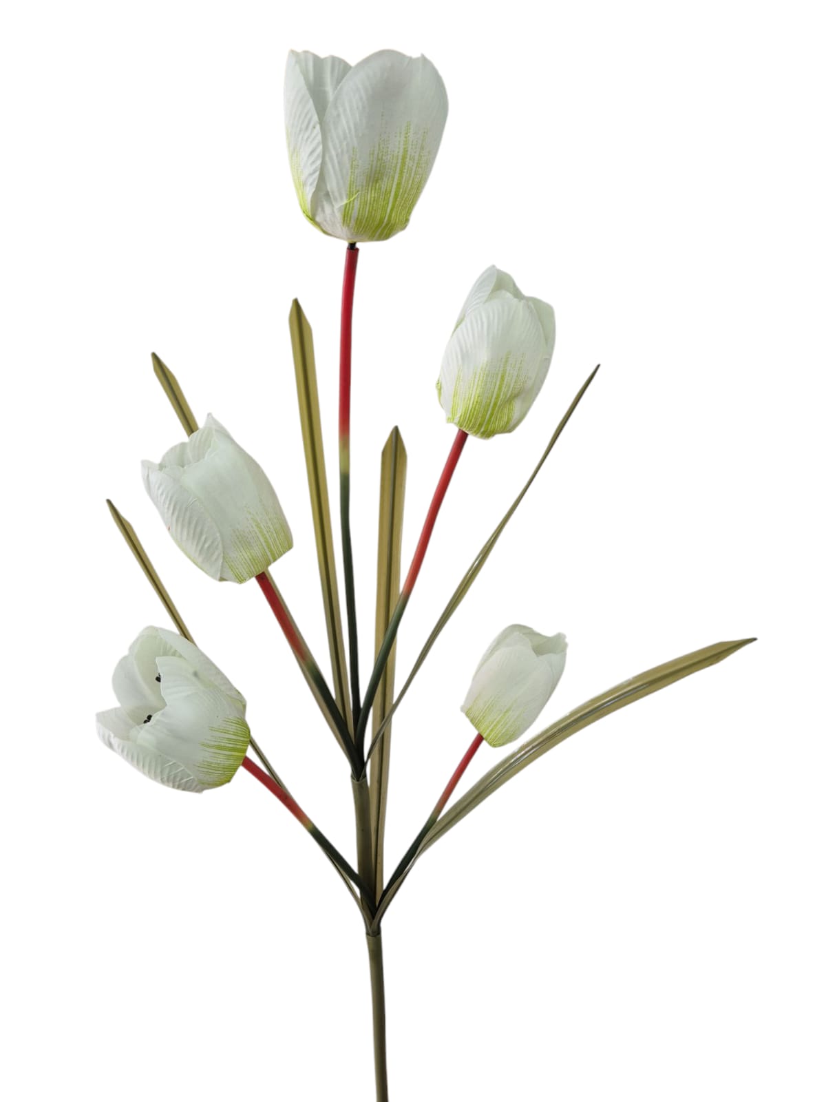 Vara Tulipanes Blanco verde