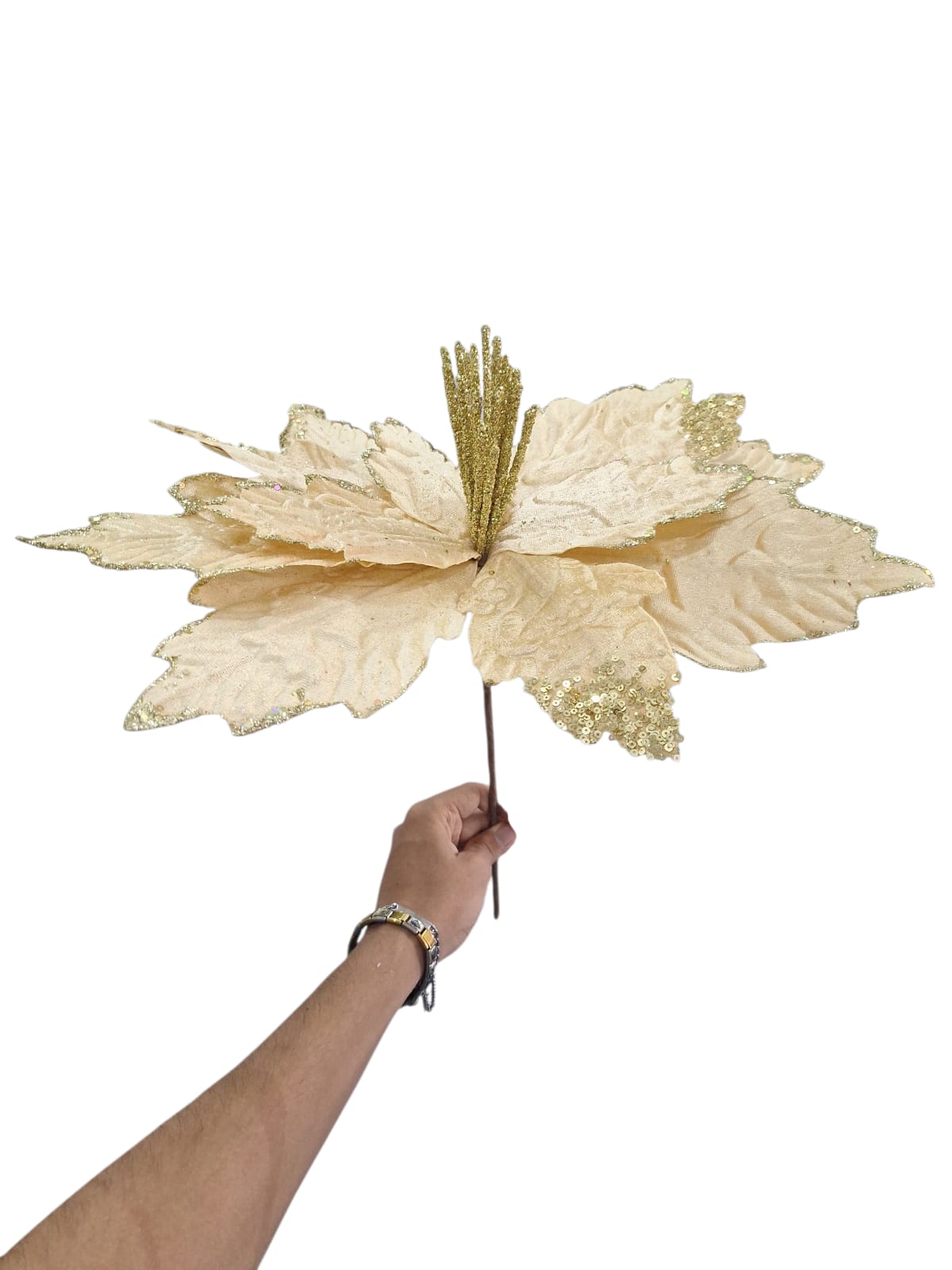 Flor Nochebuena Dorado