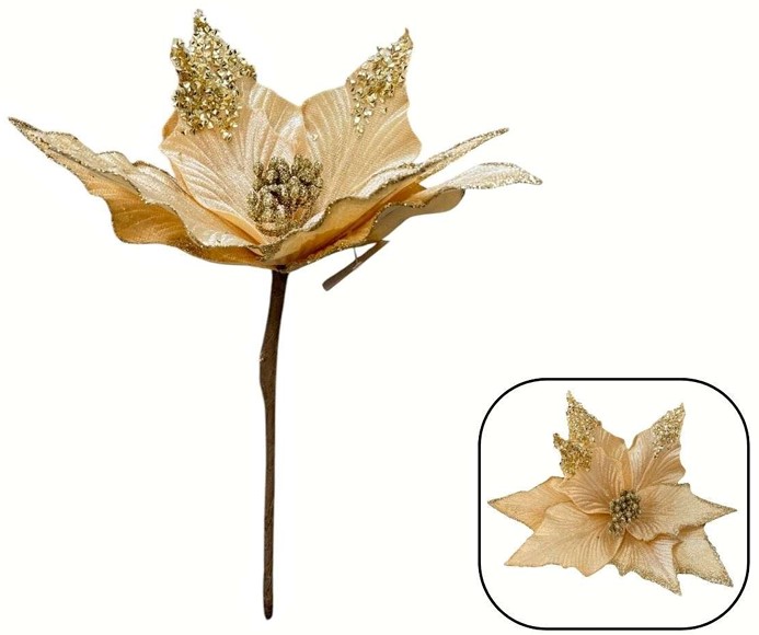 Flor Nochebuena Dorado