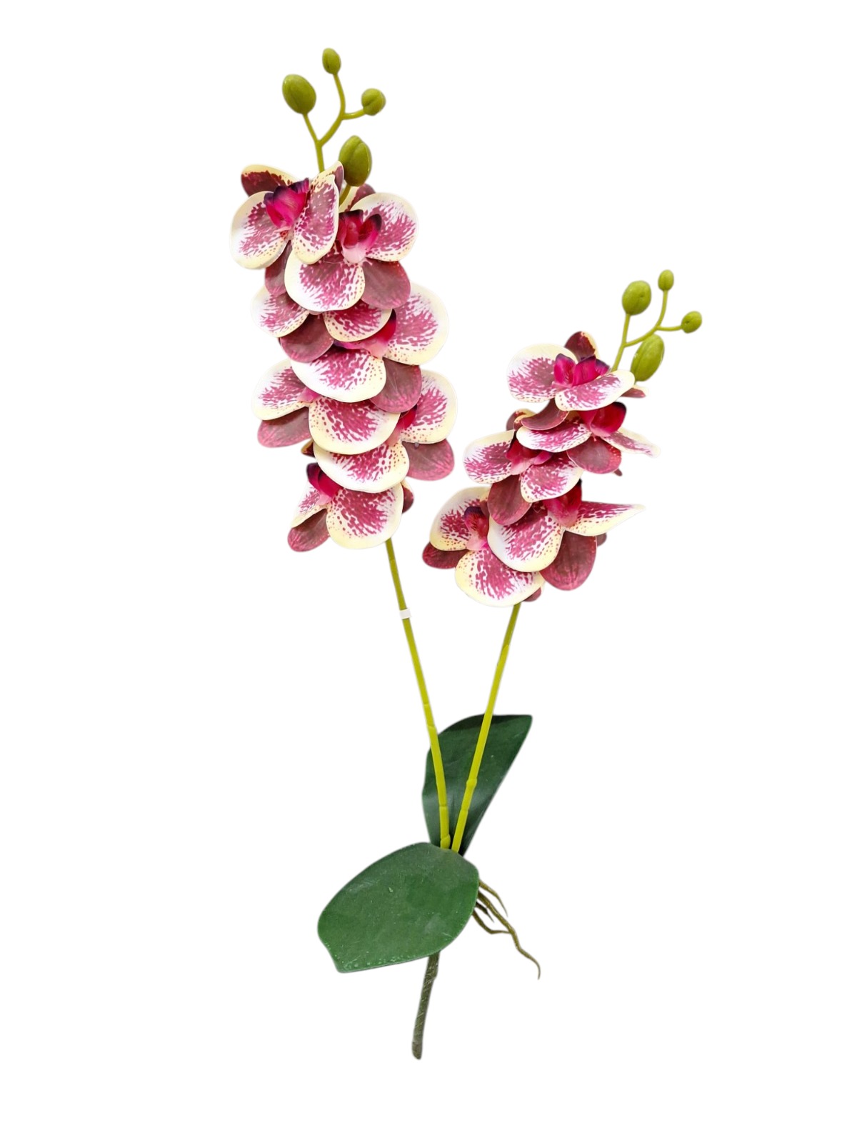 Vara Orquídea Doble con Hoja Fucsia Blanco