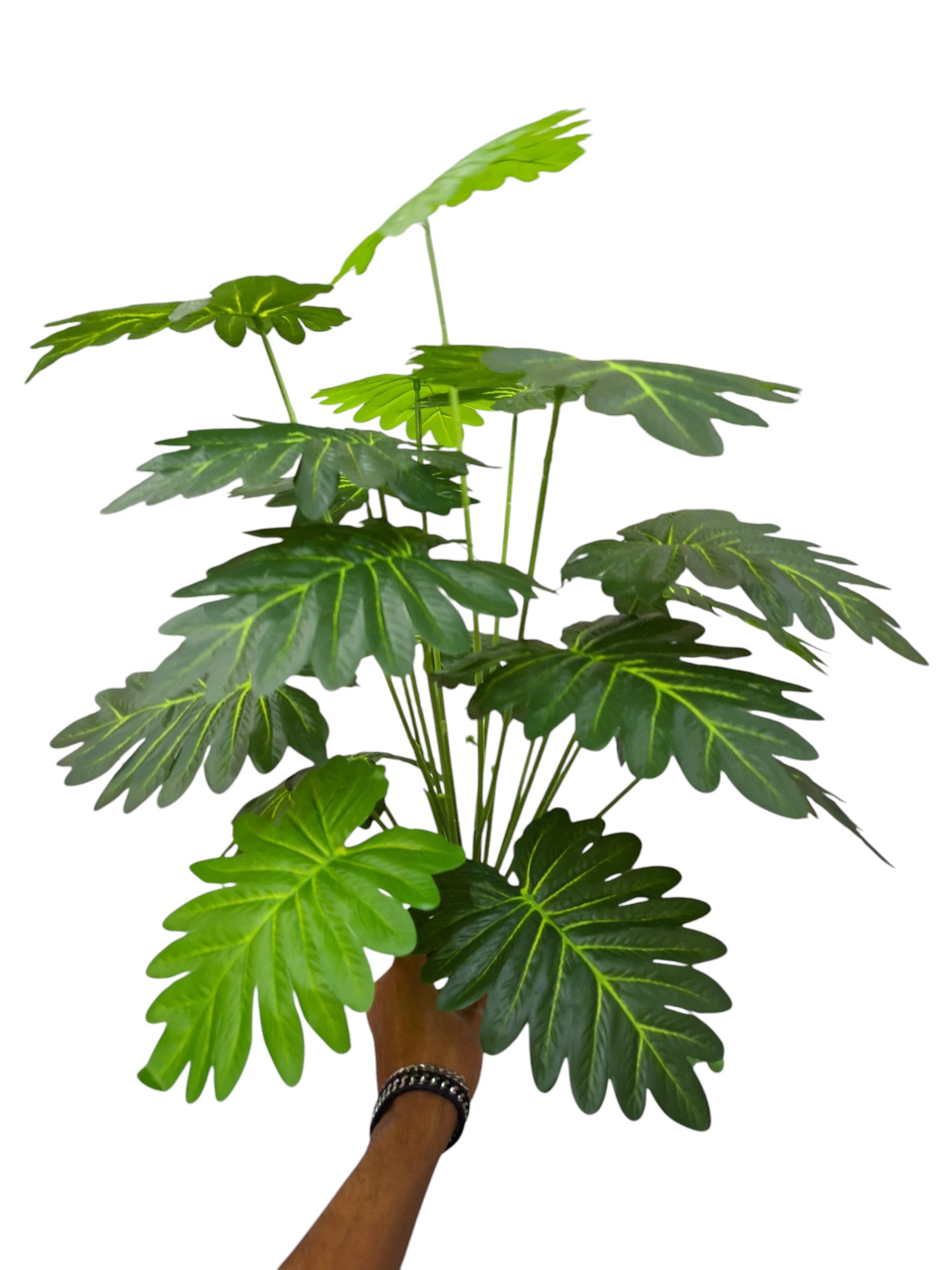 Planta x18 Hojas Variante E