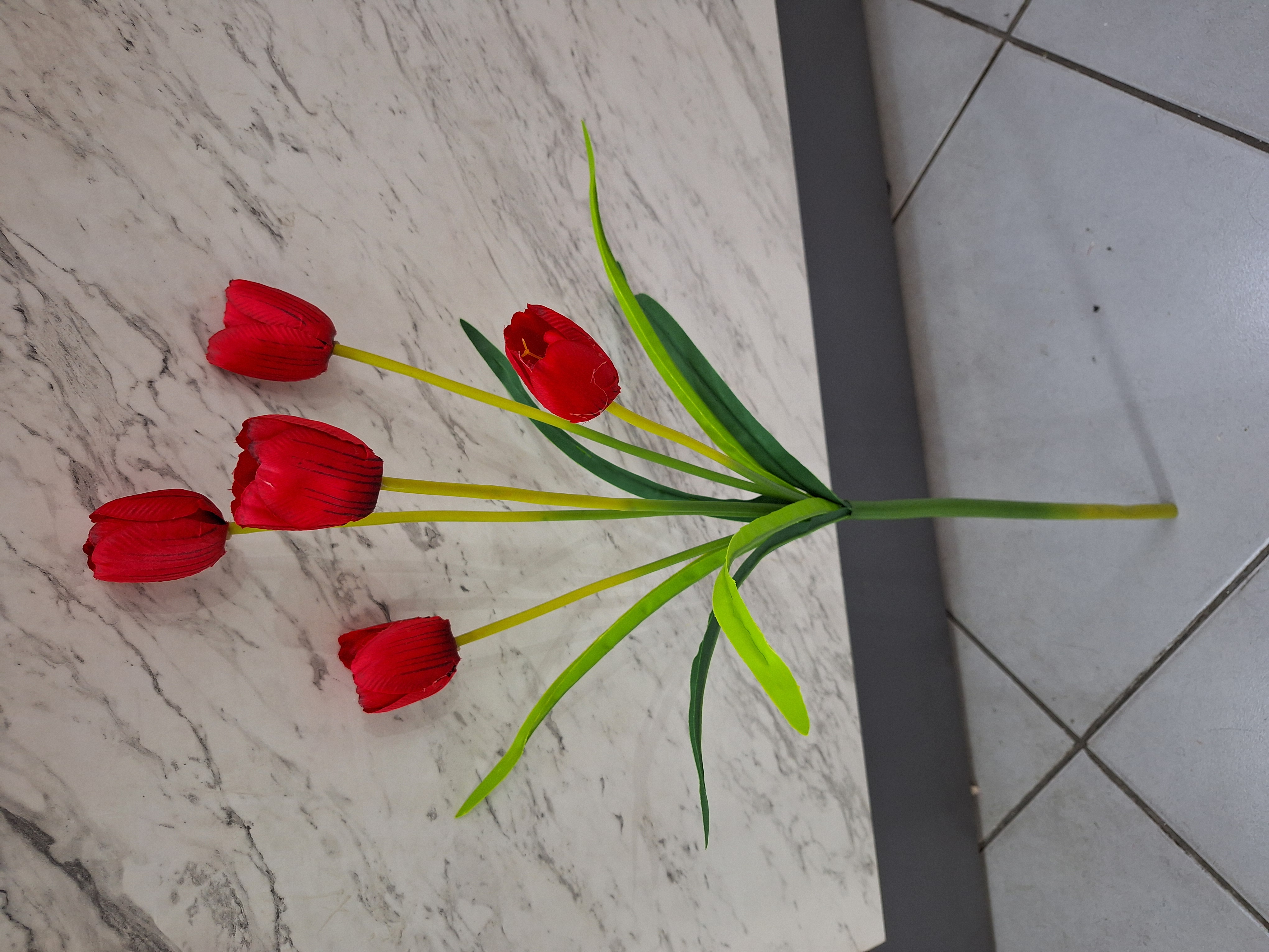 Vara X5 Tulipanes Rojo