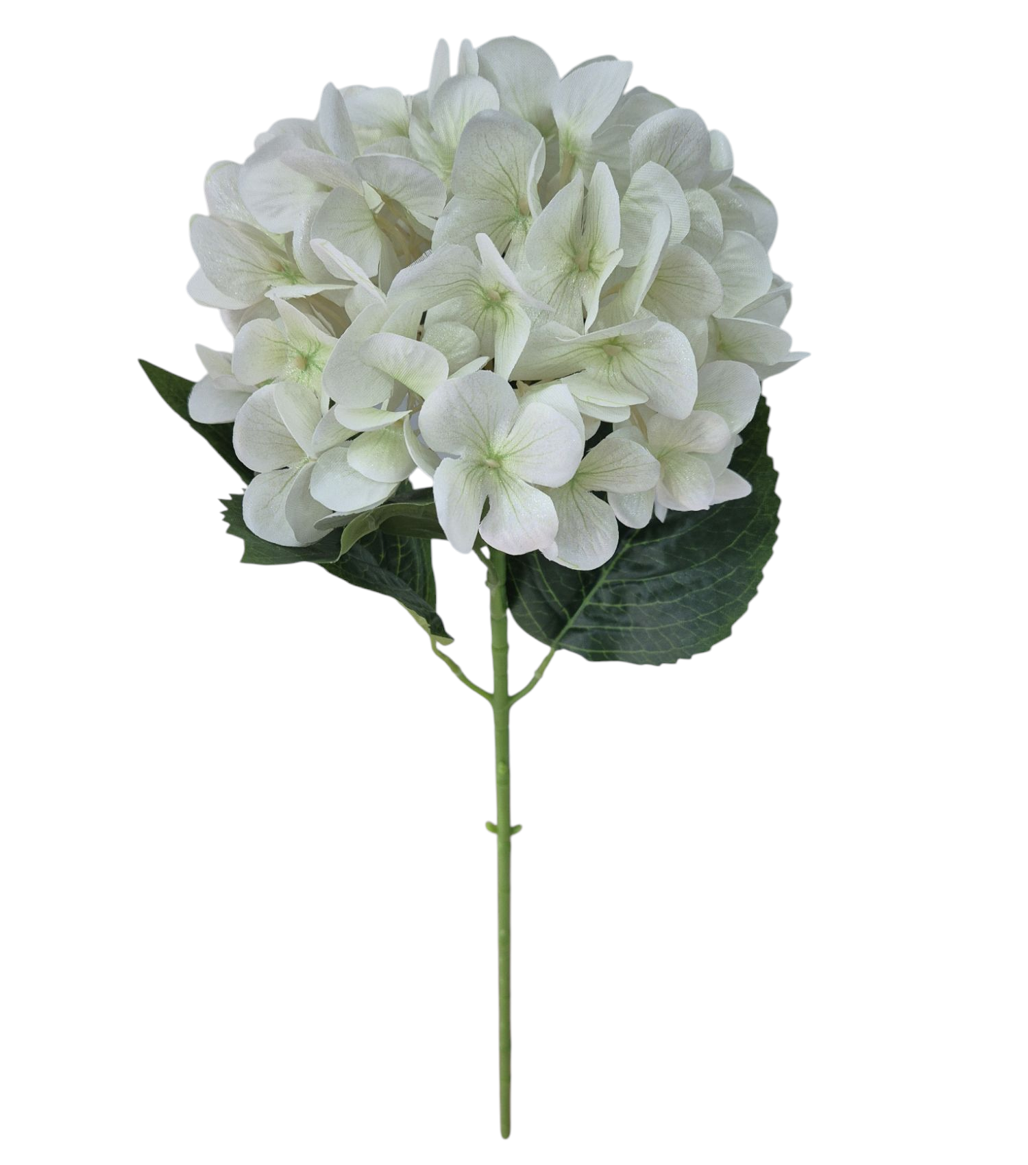 Vara Hortensia Satinada Blanco