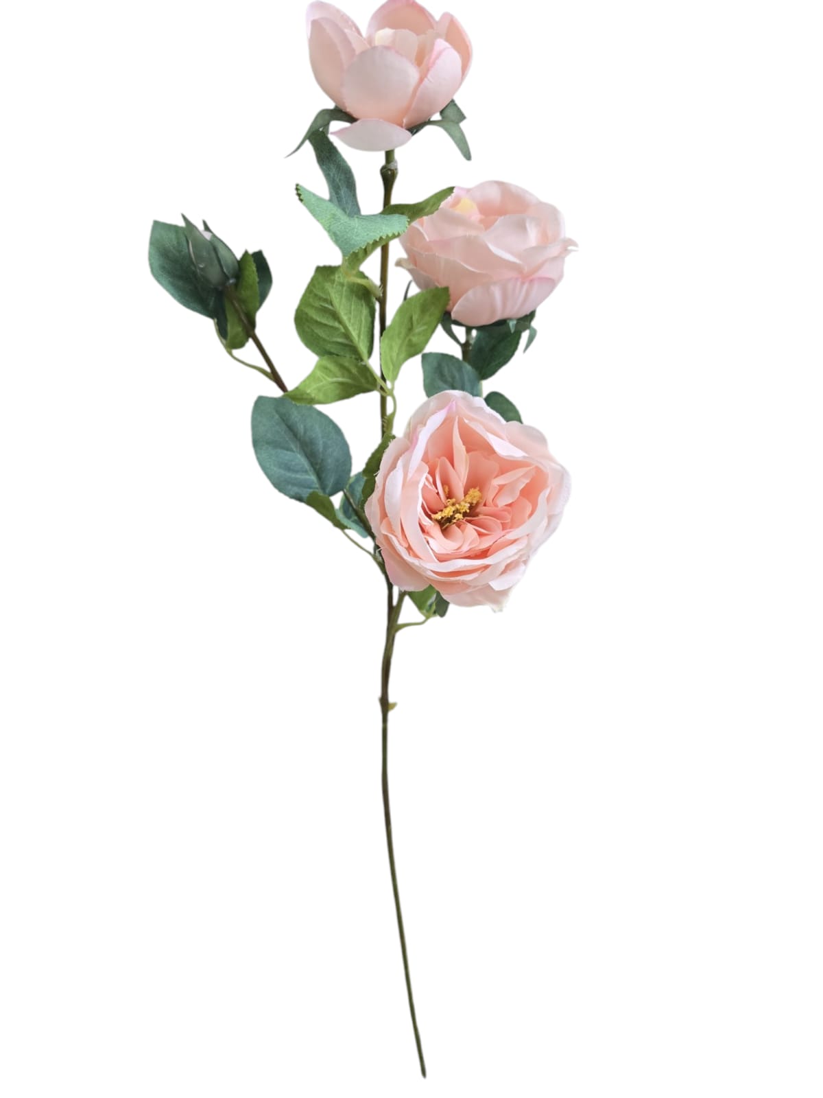 Vara X3 Rosas Beige