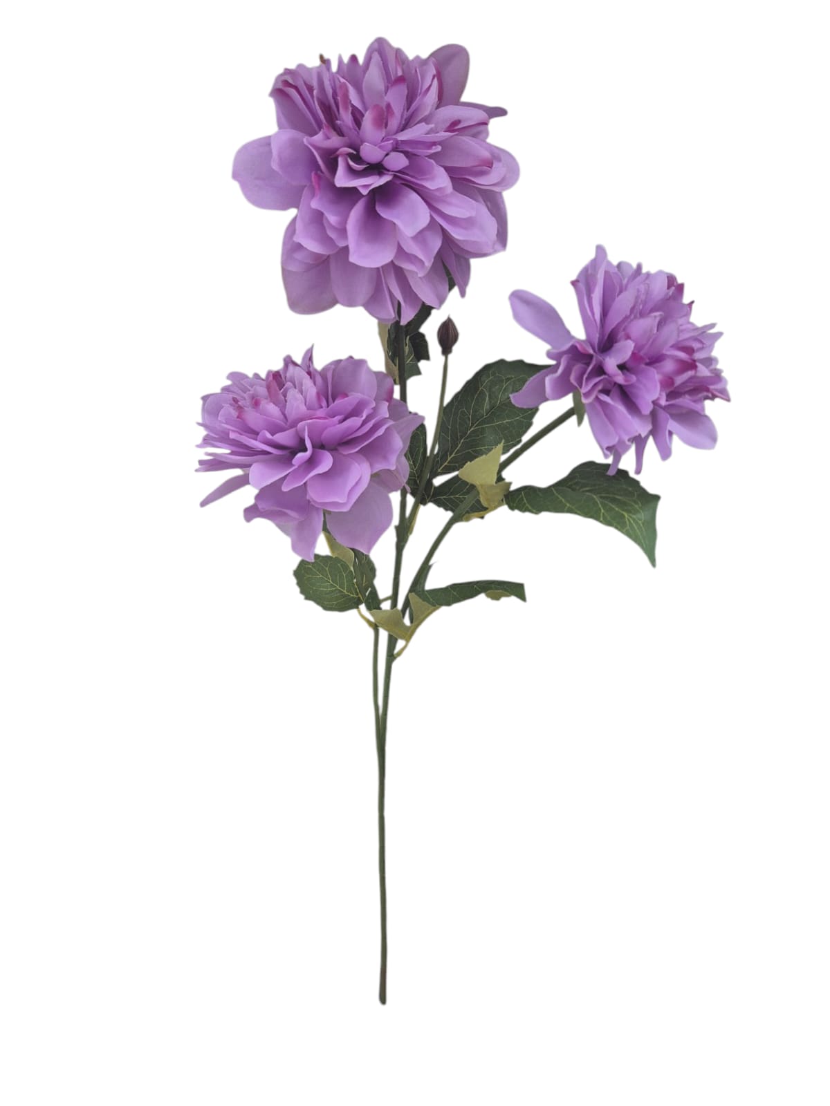 Vara Dalias Lila