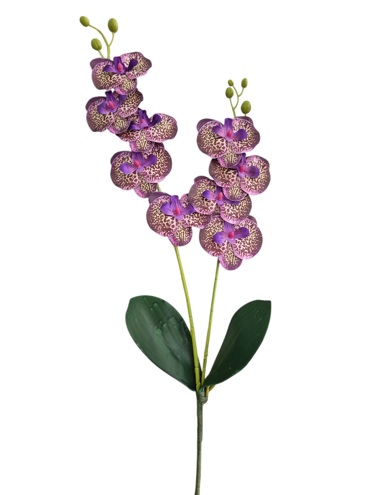 Vara Orquídea Doble Morado