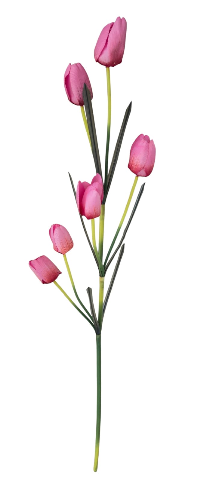 Vara Tulipanes Rosa