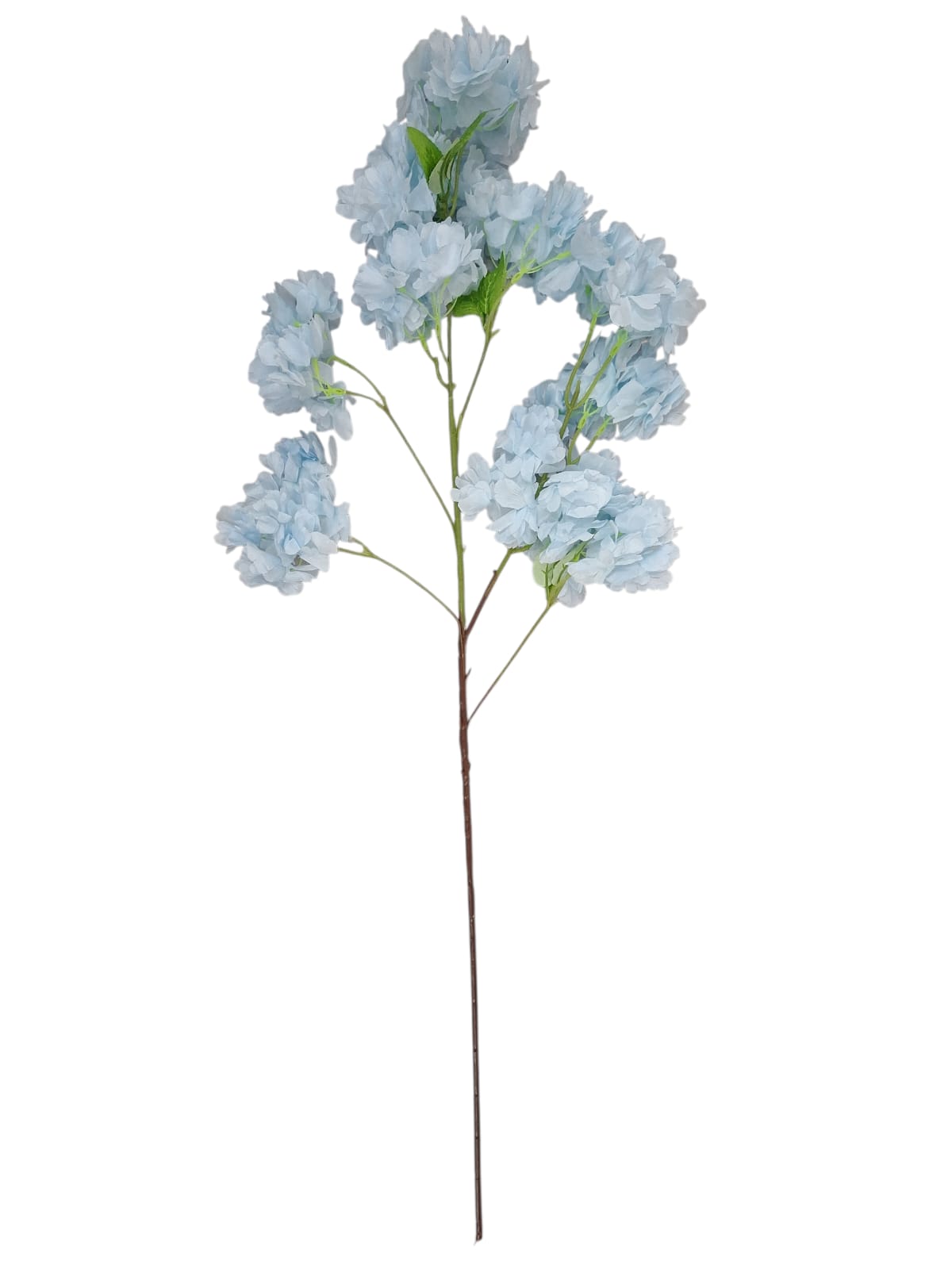 Vara Cerezo Celeste