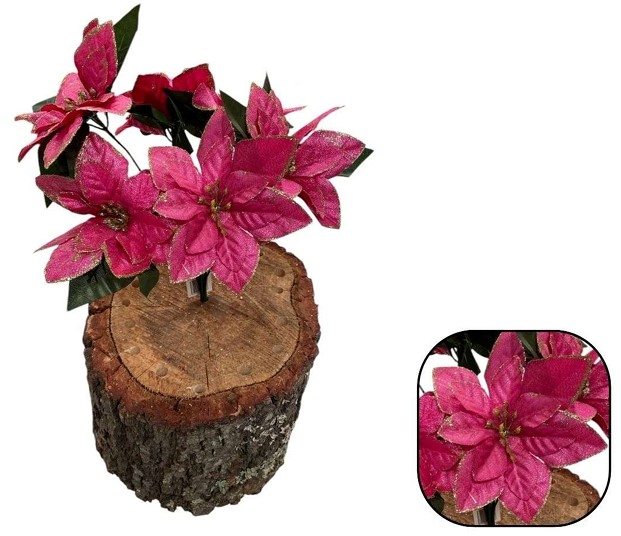 Ramo de Nochebuena Rosa fucsia