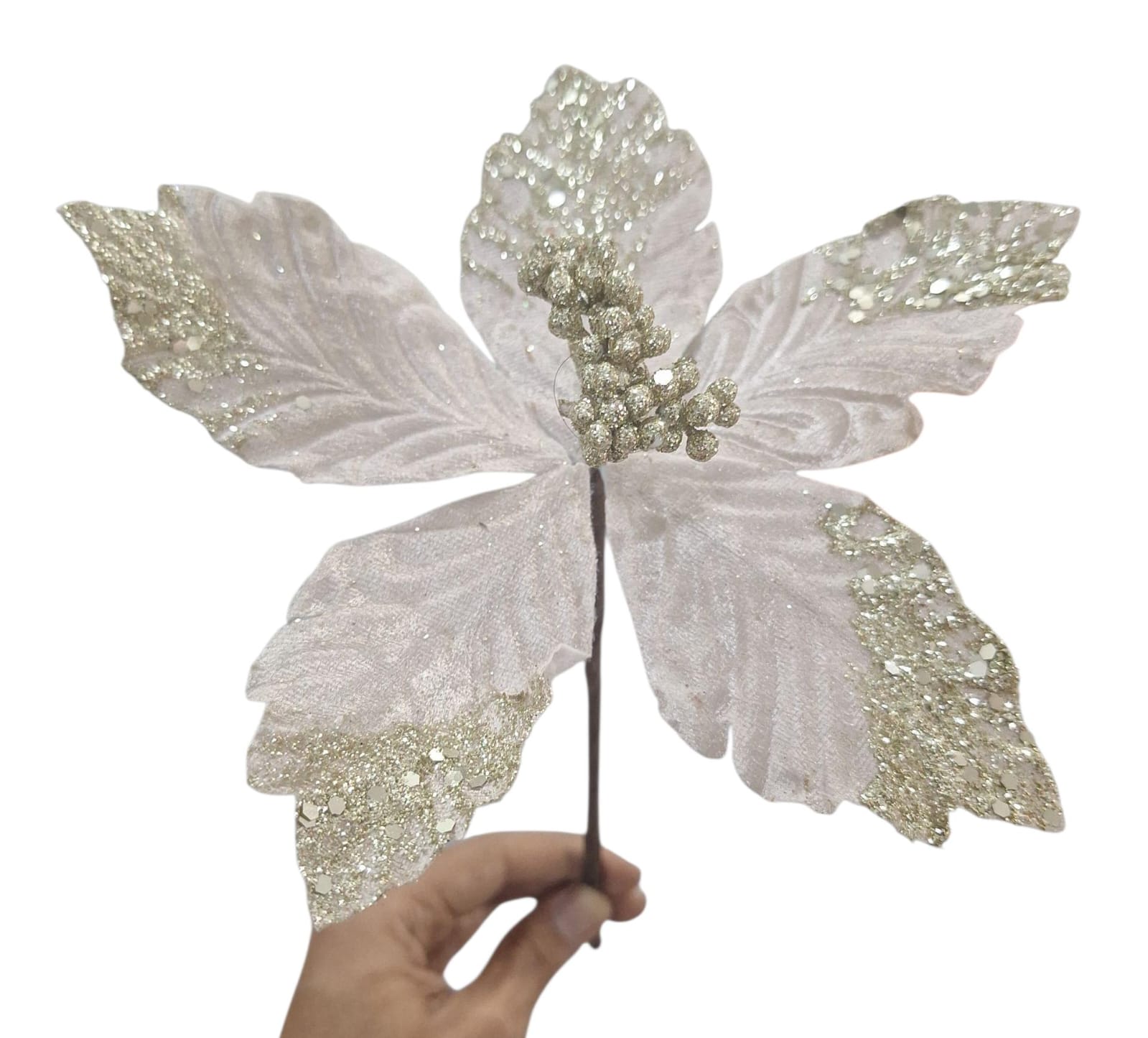 Flor Noche Buena Crema
