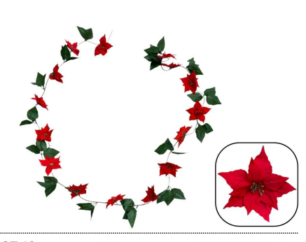 Guía Nochebuena Rojo
