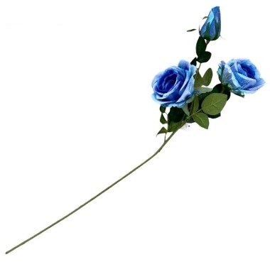 Vara Rosas y Botón Azul