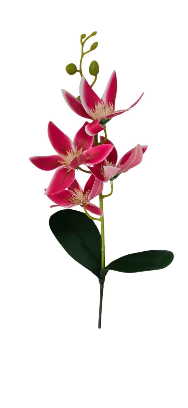 Vara de Magnolia Fucsia